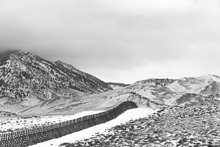 DLandscapeSeriesSM11